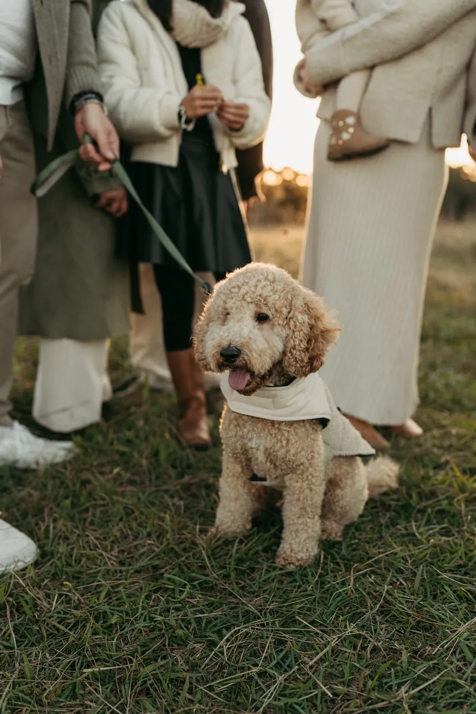 A family’s fluffy dog sitting among their legs